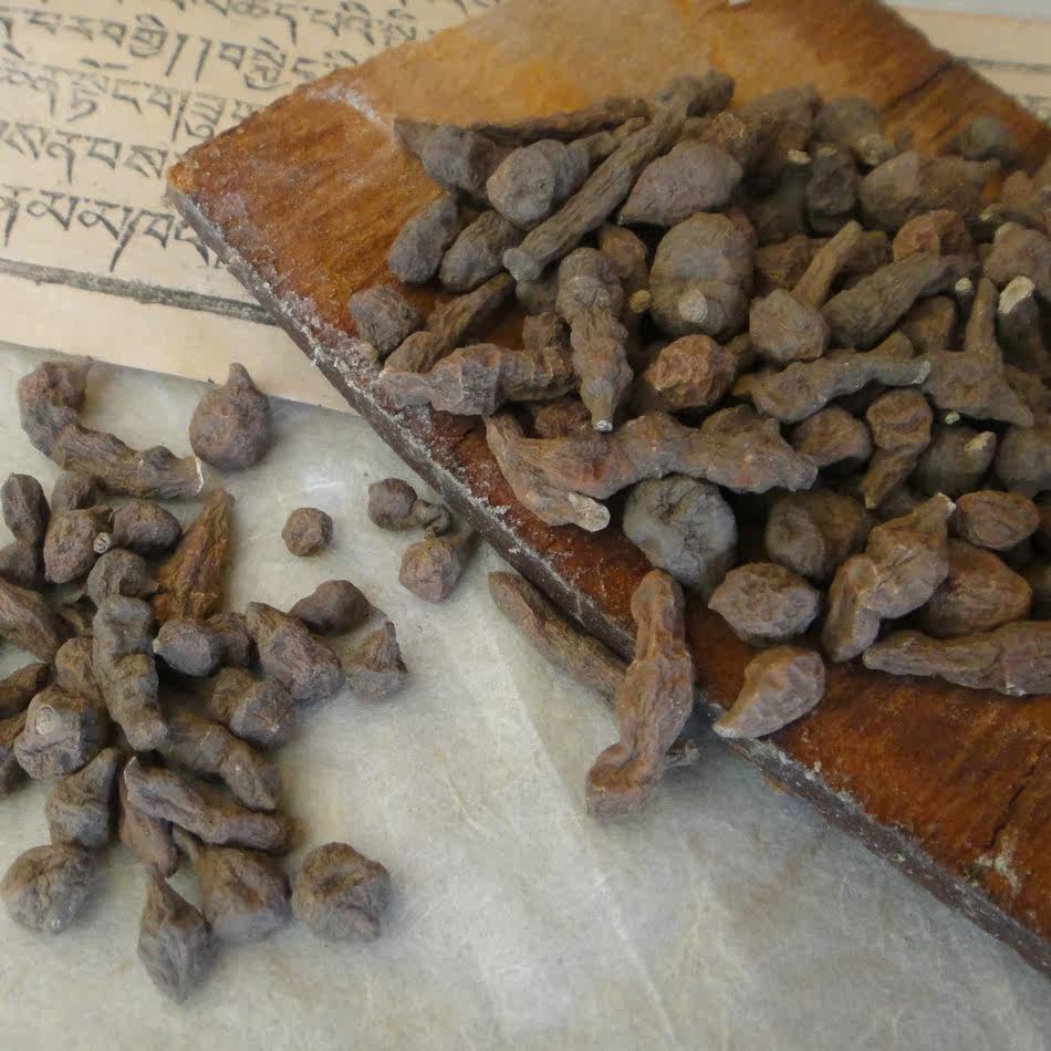 Tibetan specialty ginseng fruit Wild fern hemp Jue hemp 250g