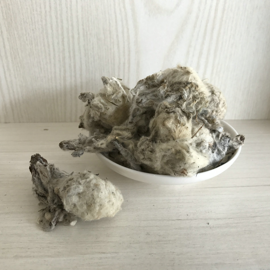 Tibet's Snow Lotus Tibetan Snow Lotus Natural Wild 150g Origin Shipping