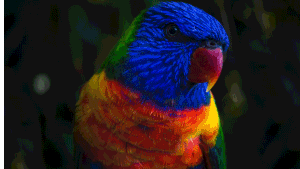 FCPX转场插件50种故障干扰信号差画面损坏抖动转场效果带音效素材-CG资源网 FCPX转场插件50种故障干扰信号差画面损坏抖动转场效果带音效素材