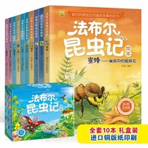 10 teenagers extracurricular reading books Fabre insect gift box picture books books Primary School students extracurricular reading materials