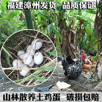 Authentic farmhouse rural free-range pure natural soil eggs fresh wild grass eggs self-raised firewood eggs