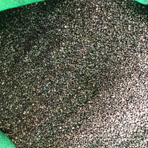 Stone ginseng root seed 500g stone ginseng root seed 500g tiger tail seed Tiger Tail seed