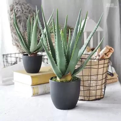 Trace hand glue Aloe vera potted simulation plant green plant Nordic decoration ornaments succulent plant bonsai