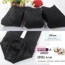 Labella 627 LaBellaFigura sunny cotton dragon claw fur gush and thin thermal pants with underpants