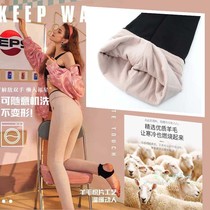 2021 winter style air wool plus suede thickened double layer of warm and no marks lady bottom stomatpants bottom stomatpants socks