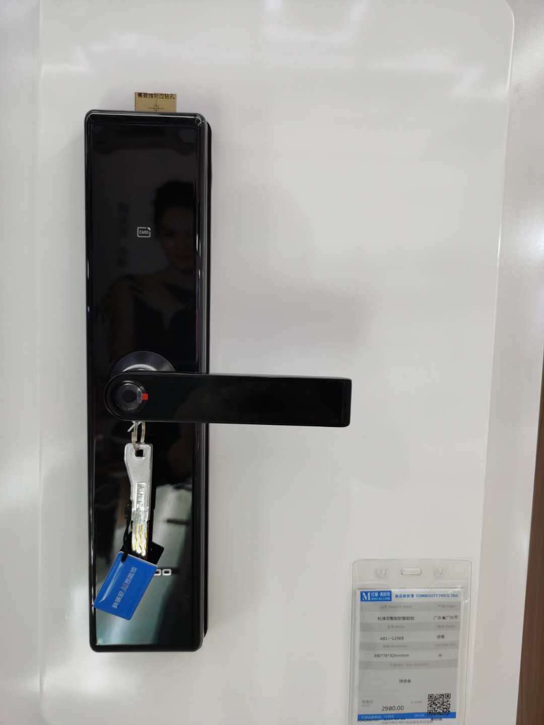 HOTATA good lady smart lock A61 1256B home anti - theft door fingerprint lock into the door password lock