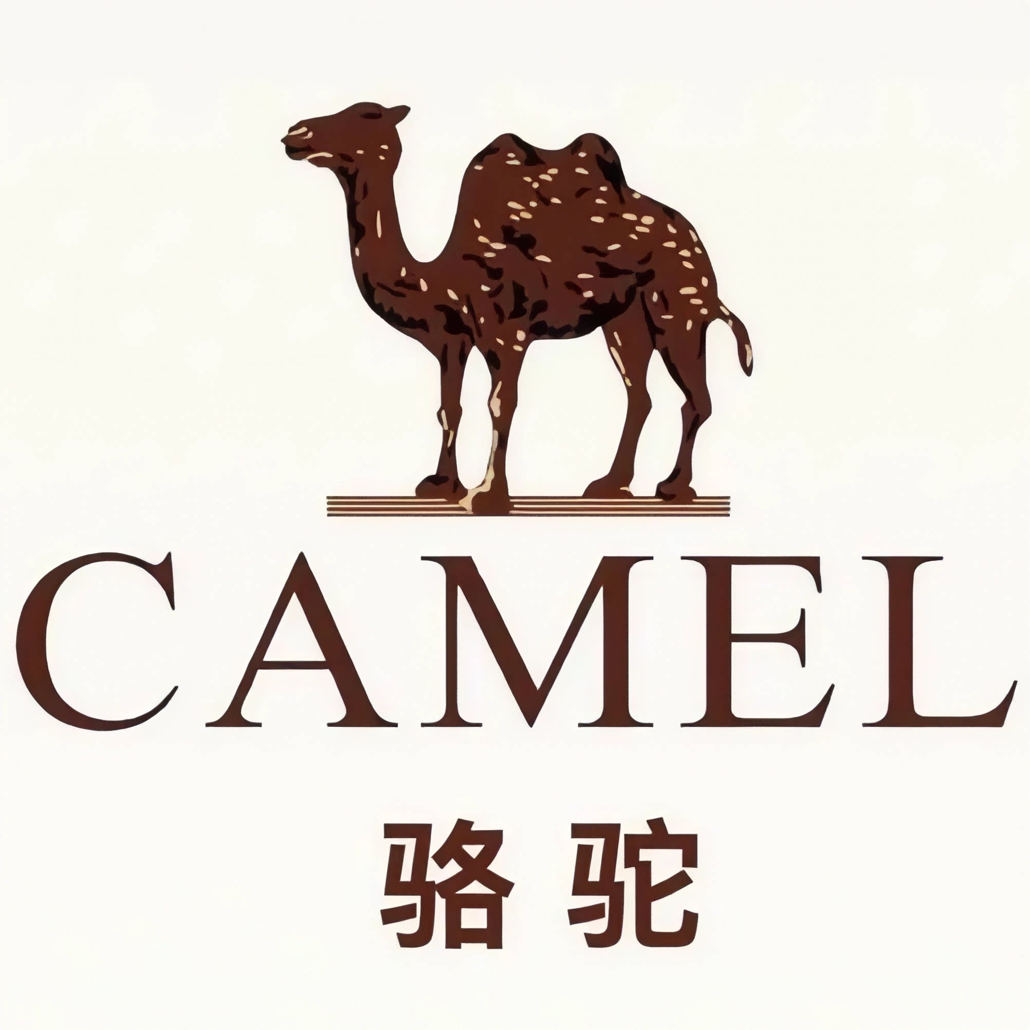 骆 驼冷风机工厂直营店
