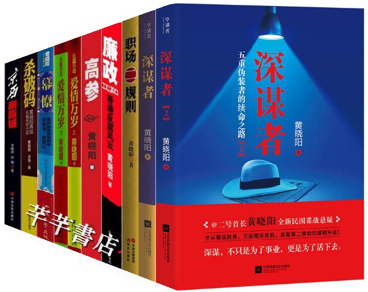 什么是高干文小说?它和官场小说有什么区别?适合哪些读者群体?🧐-小说-淘宝百科网