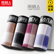 Antarctic men men men cotton underwear student youth 100% cotton trend personality flat corner high school junior high school youth