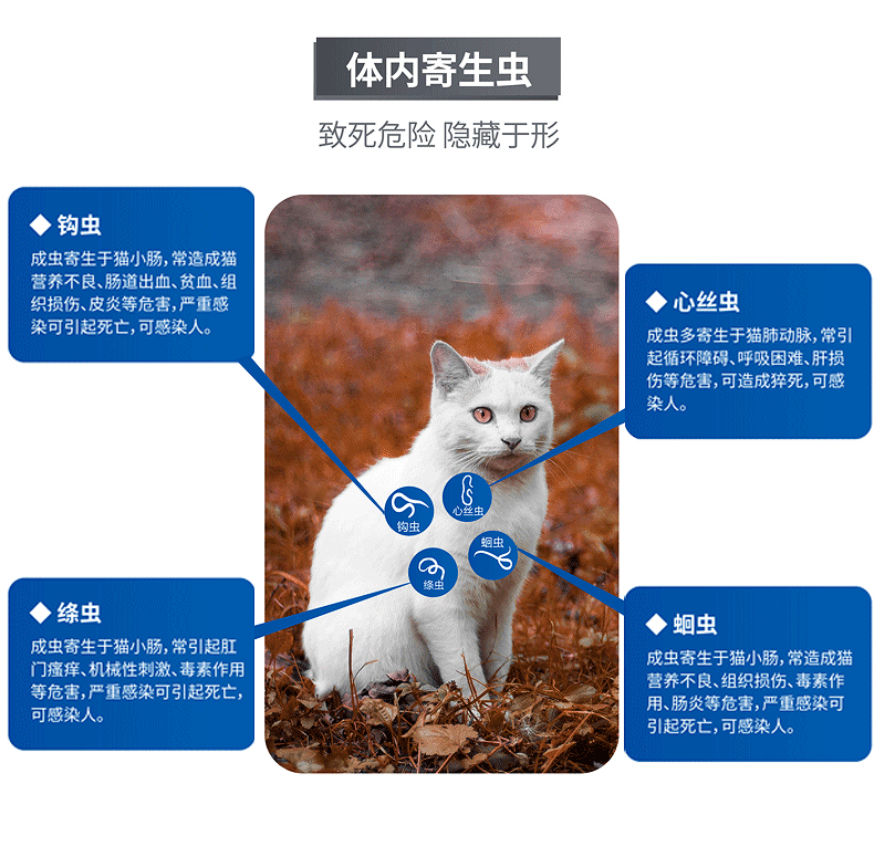 Mèo thiên đường | mèo trưởng thành mèo mèo mèo nội và ngoại hươu mites mites tai ve ve ve 2-8kg đơn - Cat / Dog Health bổ sung 	sữa cho chó có bầu