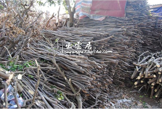 Cành cây nhỏ cành cây thẳng nhánh khung đạo cụ cành cây khô cành cây trang trí cành cây chết cành cây khô ra khỏi đám mây - Kính kính porsche