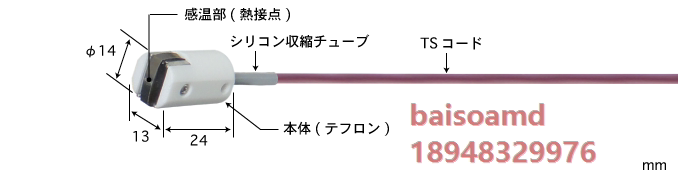Japanese ANRITSU Anli Magnet Temperature Sensor MG-21E K-TS1-ASP ANP