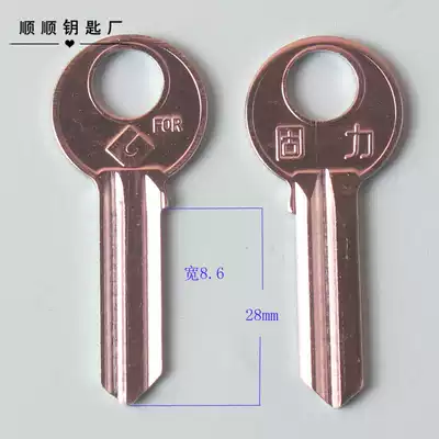 100 1 8 thick ancient key embryo door key embryo unit door key embryo sub community door key embryo
