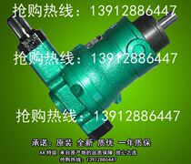Plunger 10YCY 10YCY 25YCY 25YCY 63YCY80YCY 63YCY80YCY 160YCY14-1b 160YCY14-1b 250YC 250YC 250YC