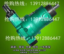 Piston pump 10YCY 25YCY 40YCY 63YCY80YCY 100YCY 160YCY14-1b 250YC