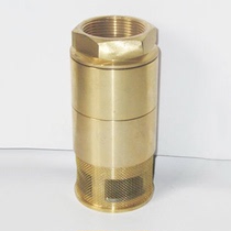 Special gas station tanker accessories full copper double door copper valve double door check valve