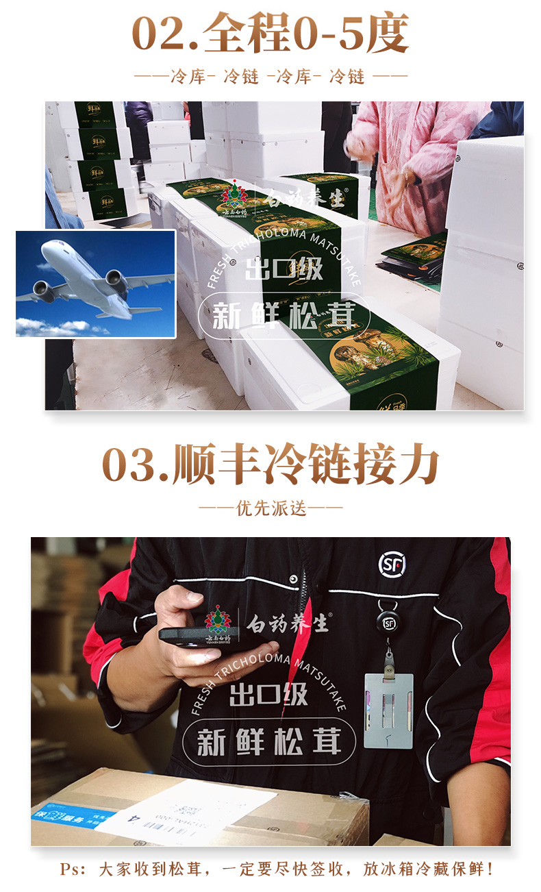 云南白药 出口级 云南野生鲜松茸礼盒 500g 6-8cm 图8