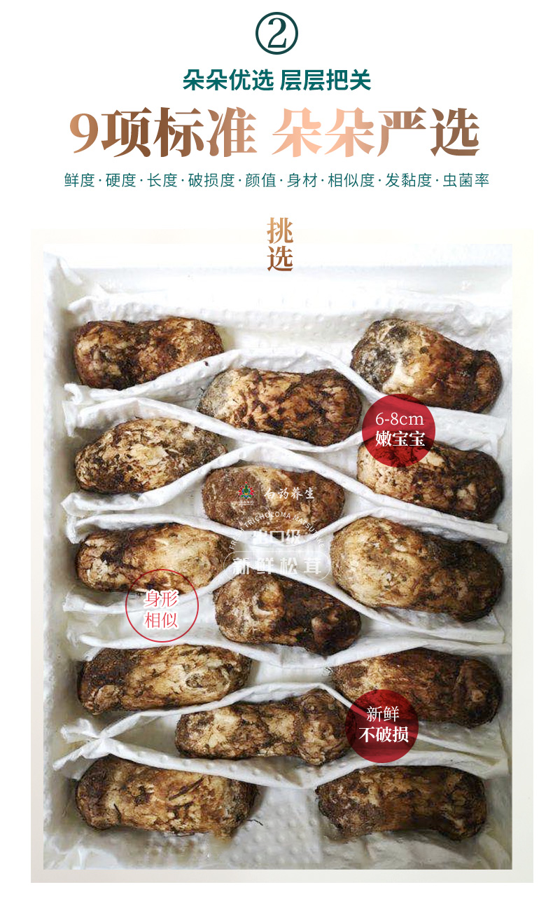 云南白药 出口级 云南野生鲜松茸礼盒 500g 6-8cm 图4