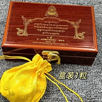 Sakya Er S Dongdu Madondu Ribu Jiado Ribu Holy Objects Assembly Buddha Statue Gawu Stupa