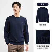 101 (тибетский цин)