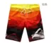 Úc Quicksilver Classic Quần short nam bãi biển 2018 Double 12 Hot sale quần short thô nam Quần short