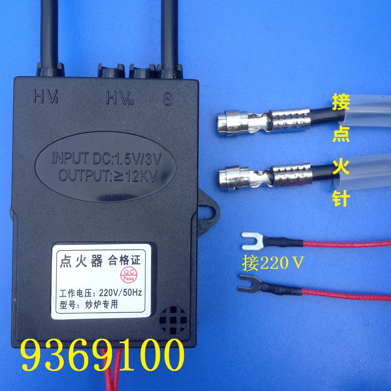 Dongbar Electric Gasification Furnace Ignitor meter Controller 220v Electronic Fired Furnace Pulse Ignitor Methanol Gasification