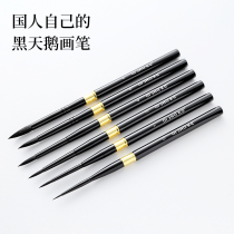 Black Swan Watercolor Pen Brush Travel Dress Black Pole Painting Pen Watercolor Painting Pen Cap Fine Arts Students Professional Seducting Pen