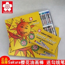 Japan cherry blossom oil painting stick 36 color crayon Colorful Stick Color oil Colored Pen Kindergarten Baby Paintbrush Suit