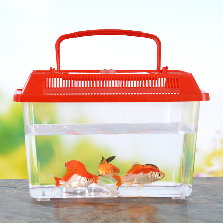 doberman potty training