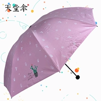 2019 Paradise Umbrella Новая тридцать три складывающегося зонтика винила -паразиста, складывающая солнце