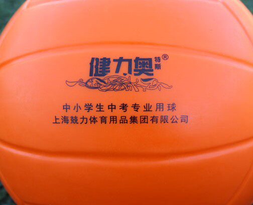 Ballon de volley-ball - Ref 2012344 Image 6
