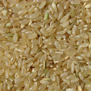 Northeast Miscellaneous grain - farmers breed brown rice - tasty brown rice 5 98 yuan 500g 5 kg