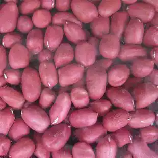 Northeast farmer four red peanuts and red skin four red peanuts and peanut kernels 13 98 one catty five catty bag