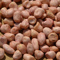 New peanut rice farmers bred fresh peanut rice in the northeast 6 98 yuan and a half a pound delicious