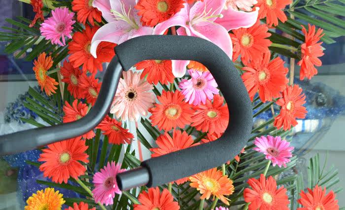 Poignées de vélo - Ref 2346807 Image 4