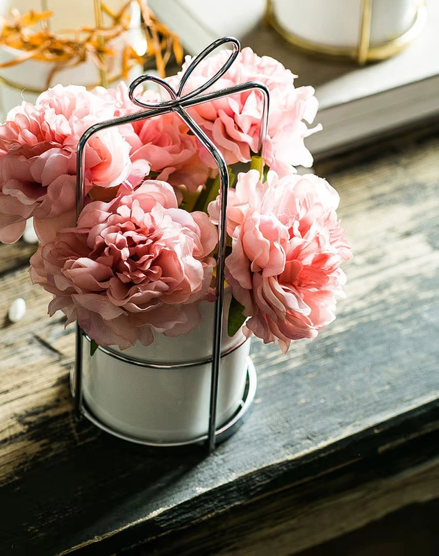 in sắt rèn chậu hoa mọng nước bình bắc đơn giản khung sắt hoa đứng gốm sứ thủy canh chậu hoa cây xanh chậu hoa mạ vàng - Vase / Bồn hoa & Kệ