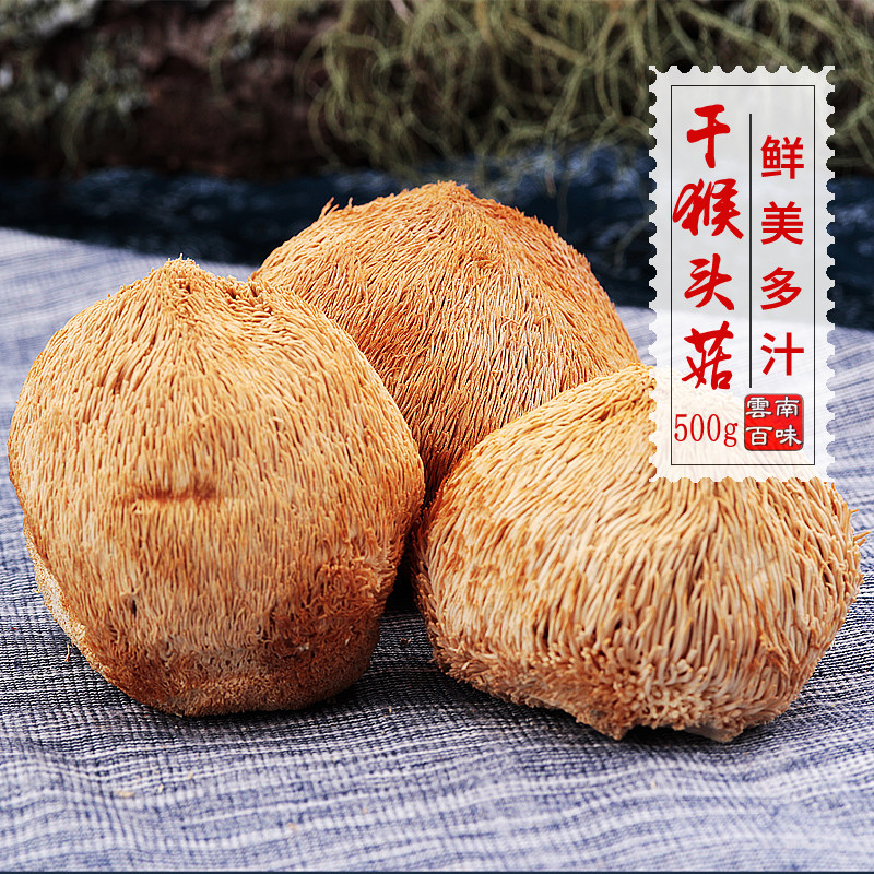 2022 Lion's Head Mushroom Dried Goods Yunnan Baiwei Lion's Head Mushroom Stomach Dried Lion's Head Mushroom Edible Mushroom Non-Fresh 500g
