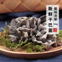 2021 Fresh dried bacillus wild mushroom Yunnan Baiwei dried bacillus wild edible mushroom non-mushroom shiitake mushroom 500g