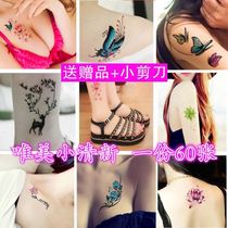 A set of 60 tattoo stickers for men and women waterproof long-lasting small fresh body painted true tattoo stickers