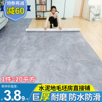 Carpet living room bedroom thickened large-area home full-spread waterproof non-slip pvc leather girl ins wind thickened floor mat