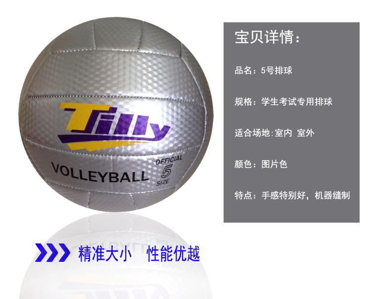 Ballon de volley-ball - Ref 2009525 Image 36