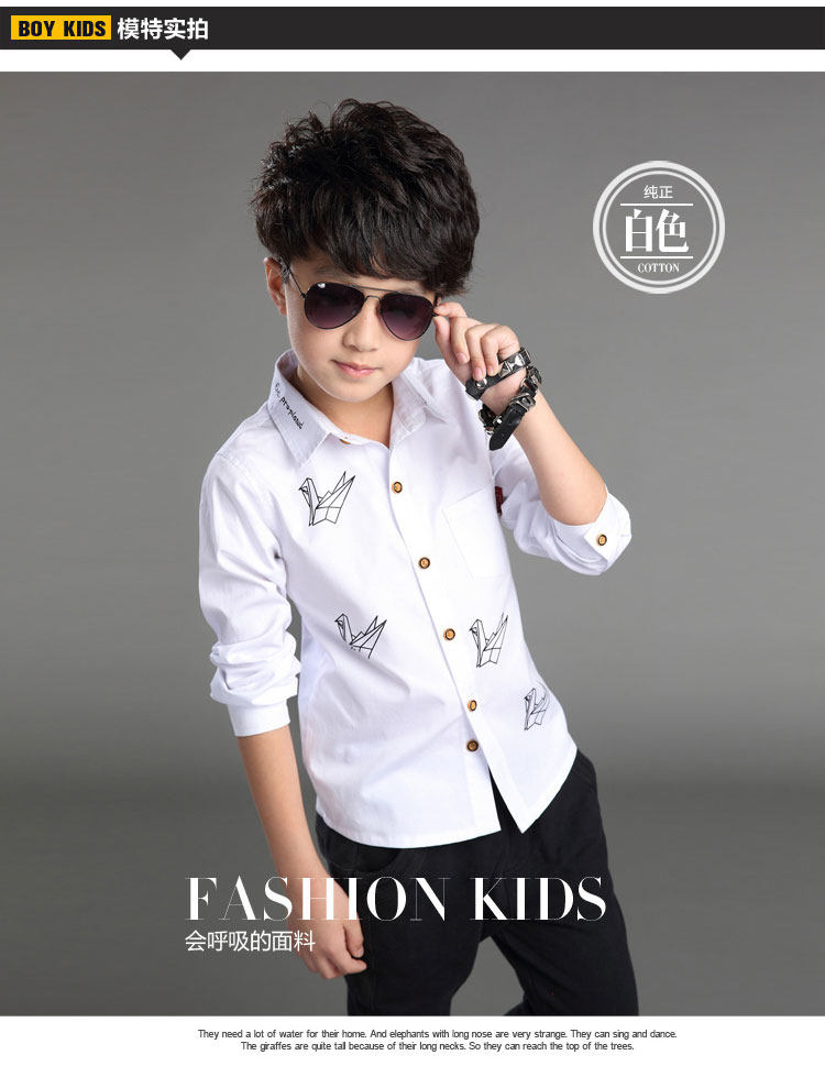 Chemise garcon à manche longue - Ref 2073276 Image 19