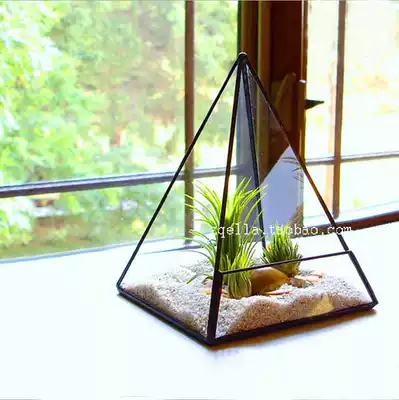 Copper pyramid flower micro landscape succulent plant empty Phoenix Flower glass flower room