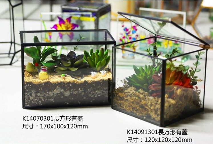 Totally enclosed opening and closing glass flower house square clamshell glass flower room moss microscape geometric glass florator