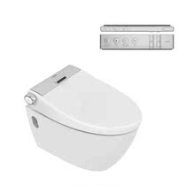 Lu Enyan selected wall-mounted smart toilet contains wdi hidden water tank E5302 without automatic flushing
