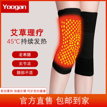 Self-heating knee pads warm joints male ladies old cold legs Four Seasons cold Wormwood physiotherapy hot moxibustion bamboo charcoal thickening