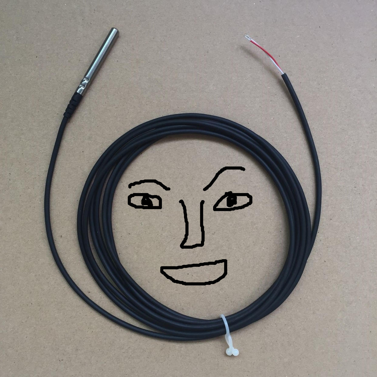 Calle stainless steel probe CAREL NTC030WH **IP68-50T105