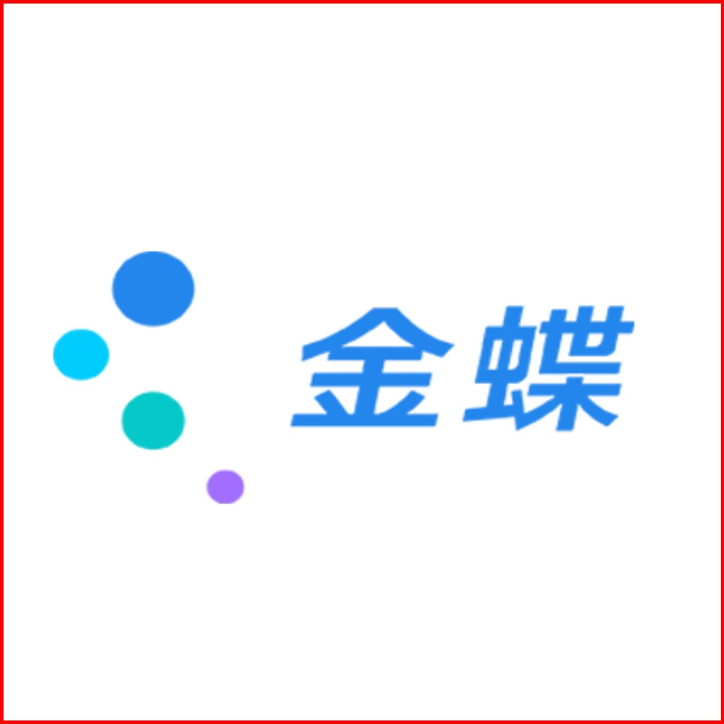 金蝶软件广东鲲展店