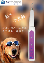 Pet new special ultrasonic machine tooth cleaning tooth stone remover to Tartar