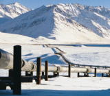 零对冲分析师指出，EIA的预测显然是低估了美国页岩油受冲击的程度，实际产量的下降幅度比想象中惊人